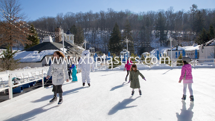 Synthetic Ice Rink Panel Synthetic Ice Rink Panel